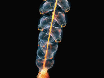 urb_wonderful_life_006_dbw_11870_188_1