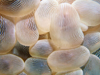 urb_wonderful_life_007_dbw_11870_188